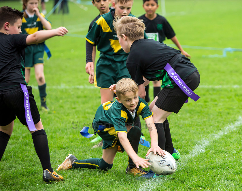 BFC-Tag-Rugby 059 
 PIC BY STEWART TURKINGTON
 www.stphotos.co.uk