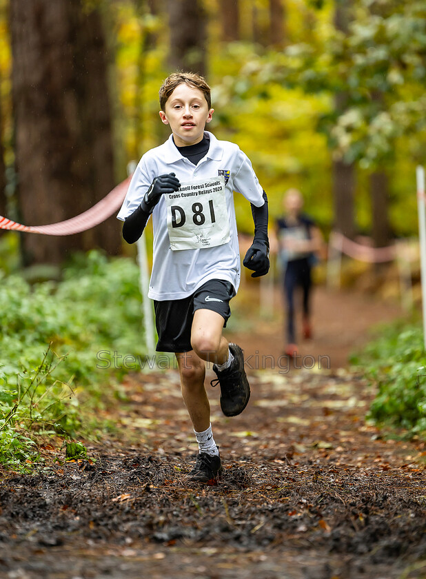 X-Country 033 
 PIC BY STEWART TURKINGTON
 www.stphotos.co.uk