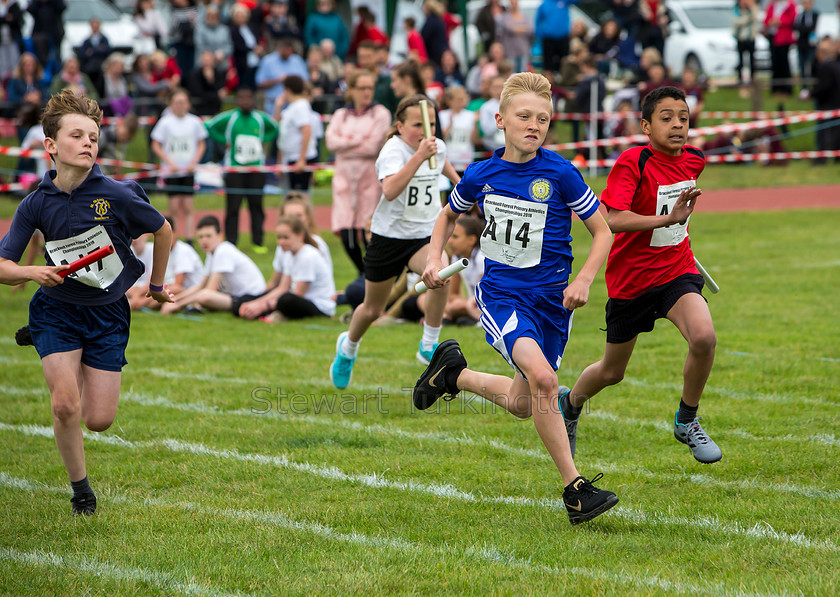 Athletics11 
 PIC BY STEWART TURKINGTON
 www.stphotos.co.uk